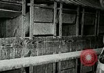 Image of poultry farm Berea Kentucky United States USA, 1933, second 35 stock footage video 65675021251