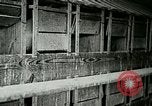 Image of poultry farm Berea Kentucky United States USA, 1933, second 36 stock footage video 65675021251