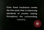 Image of poultry farm Berea Kentucky United States USA, 1933, second 37 stock footage video 65675021251