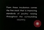 Image of poultry farm Berea Kentucky United States USA, 1933, second 49 stock footage video 65675021251