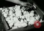 Image of poultry farm Berea Kentucky United States USA, 1933, second 53 stock footage video 65675021251