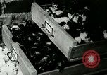 Image of poultry farm Berea Kentucky United States USA, 1933, second 61 stock footage video 65675021251