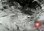 Image of Art Classes Berea Kentucky United States USA, 1933, second 47 stock footage video 65675021263