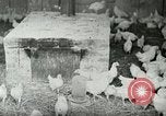 Image of Poultry farm Berea Kentucky United States USA, 1933, second 10 stock footage video 65675021269