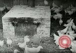 Image of Poultry farm Berea Kentucky United States USA, 1933, second 12 stock footage video 65675021269