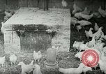Image of Poultry farm Berea Kentucky United States USA, 1933, second 13 stock footage video 65675021269