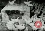 Image of Poultry farm Berea Kentucky United States USA, 1933, second 14 stock footage video 65675021269