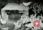 Image of Poultry farm Berea Kentucky United States USA, 1933, second 15 stock footage video 65675021269