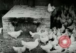 Image of Poultry farm Berea Kentucky United States USA, 1933, second 16 stock footage video 65675021269