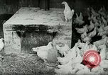 Image of Poultry farm Berea Kentucky United States USA, 1933, second 18 stock footage video 65675021269