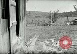 Image of Poultry farm Berea Kentucky United States USA, 1933, second 22 stock footage video 65675021269