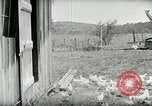 Image of Poultry farm Berea Kentucky United States USA, 1933, second 25 stock footage video 65675021269