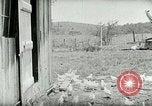 Image of Poultry farm Berea Kentucky United States USA, 1933, second 27 stock footage video 65675021269
