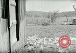 Image of Poultry farm Berea Kentucky United States USA, 1933, second 28 stock footage video 65675021269