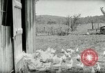 Image of Poultry farm Berea Kentucky United States USA, 1933, second 29 stock footage video 65675021269