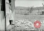 Image of Poultry farm Berea Kentucky United States USA, 1933, second 31 stock footage video 65675021269