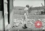 Image of Poultry farm Berea Kentucky United States USA, 1933, second 33 stock footage video 65675021269