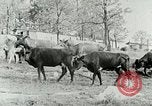 Image of dairy farm Berea Kentucky United States USA, 1933, second 18 stock footage video 65675021270