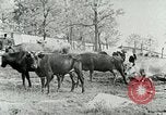 Image of dairy farm Berea Kentucky United States USA, 1933, second 21 stock footage video 65675021270