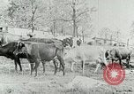Image of dairy farm Berea Kentucky United States USA, 1933, second 23 stock footage video 65675021270