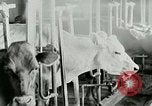 Image of dairy farm Berea Kentucky United States USA, 1933, second 28 stock footage video 65675021270
