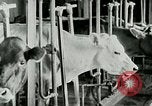 Image of dairy farm Berea Kentucky United States USA, 1933, second 29 stock footage video 65675021270