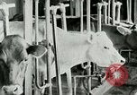 Image of dairy farm Berea Kentucky United States USA, 1933, second 30 stock footage video 65675021270