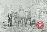 Image of dairy farm Berea Kentucky United States USA, 1933, second 32 stock footage video 65675021270
