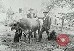 Image of dairy farm Berea Kentucky United States USA, 1933, second 33 stock footage video 65675021270