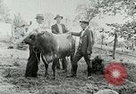 Image of dairy farm Berea Kentucky United States USA, 1933, second 34 stock footage video 65675021270