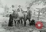 Image of dairy farm Berea Kentucky United States USA, 1933, second 35 stock footage video 65675021270