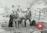 Image of dairy farm Berea Kentucky United States USA, 1933, second 36 stock footage video 65675021270