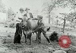 Image of dairy farm Berea Kentucky United States USA, 1933, second 39 stock footage video 65675021270