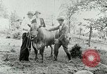 Image of dairy farm Berea Kentucky United States USA, 1933, second 40 stock footage video 65675021270