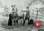 Image of dairy farm Berea Kentucky United States USA, 1933, second 41 stock footage video 65675021270