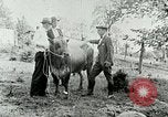 Image of dairy farm Berea Kentucky United States USA, 1933, second 42 stock footage video 65675021270