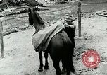 Image of Undeveloped roads Berea Kentucky United States USA, 1933, second 49 stock footage video 65675021272