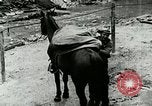 Image of Undeveloped roads Berea Kentucky United States USA, 1933, second 50 stock footage video 65675021272
