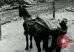 Image of Undeveloped roads Berea Kentucky United States USA, 1933, second 51 stock footage video 65675021272
