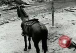 Image of Undeveloped roads Berea Kentucky United States USA, 1933, second 52 stock footage video 65675021272