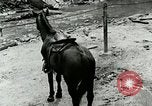 Image of Undeveloped roads Berea Kentucky United States USA, 1933, second 53 stock footage video 65675021272