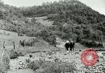 Image of Undeveloped roads Berea Kentucky United States USA, 1933, second 58 stock footage video 65675021272