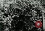 Image of Community School Berea Kentucky United States USA, 1933, second 40 stock footage video 65675021275