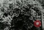 Image of Community School Berea Kentucky United States USA, 1933, second 41 stock footage video 65675021275