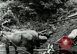 Image of Mining Community Berea Kentucky United States USA, 1933, second 43 stock footage video 65675021277