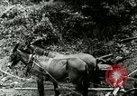 Image of Mining Community Berea Kentucky United States USA, 1933, second 44 stock footage video 65675021277