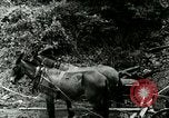 Image of Mining Community Berea Kentucky United States USA, 1933, second 45 stock footage video 65675021277