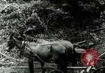 Image of Mining Community Berea Kentucky United States USA, 1933, second 46 stock footage video 65675021277