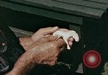 Image of mountain handicrafts Brasstown North Carolina United States USA, 1945, second 11 stock footage video 65675021281