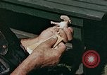 Image of mountain handicrafts Brasstown North Carolina United States USA, 1945, second 12 stock footage video 65675021281